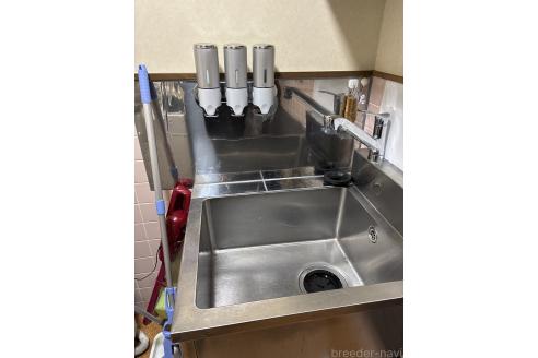 大瀬良めぐみブリーダーの詳細