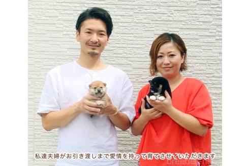 田鍋翔ブリーダーの詳細
