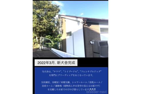 平井真美ブリーダーの詳細