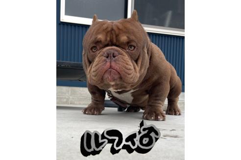 生田吉弘ブリーダーの詳細