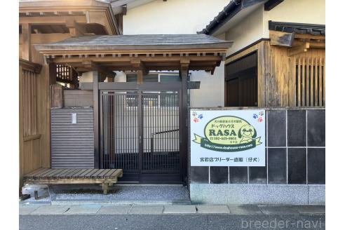 髙丸直美ブリーダーの詳細