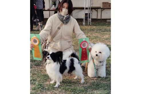 宮腰幸子ブリーダーの詳細の1枚目