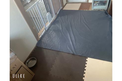 今泉寛子ブリーダーの詳細