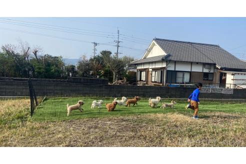 石本かな恵ブリーダーの詳細