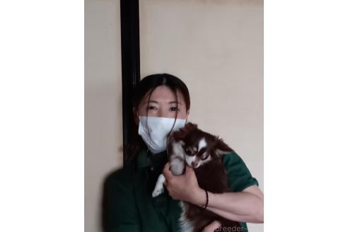 遠藤美奈子ブリーダーの詳細