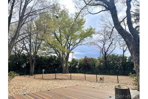 田山ほのかブリーダーの詳細