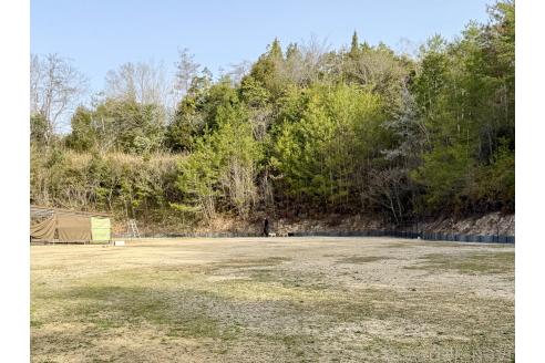 池田由佳ブリーダーの詳細