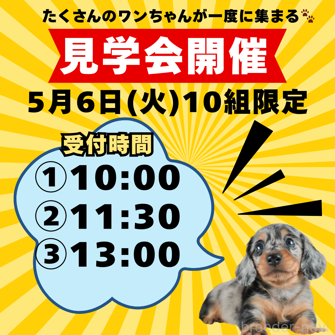 峯田遥香ブリーダーの詳細の1枚目