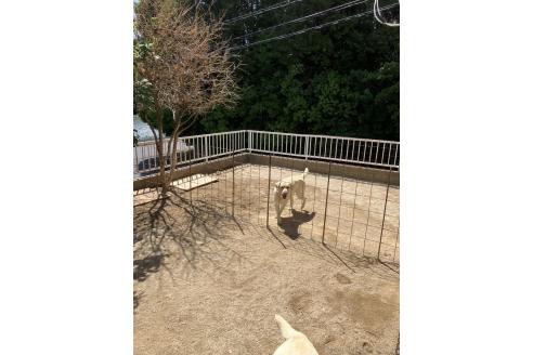永光輝子ブリーダーの詳細