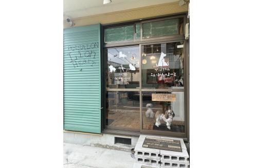 坂井利江ブリーダーの詳細