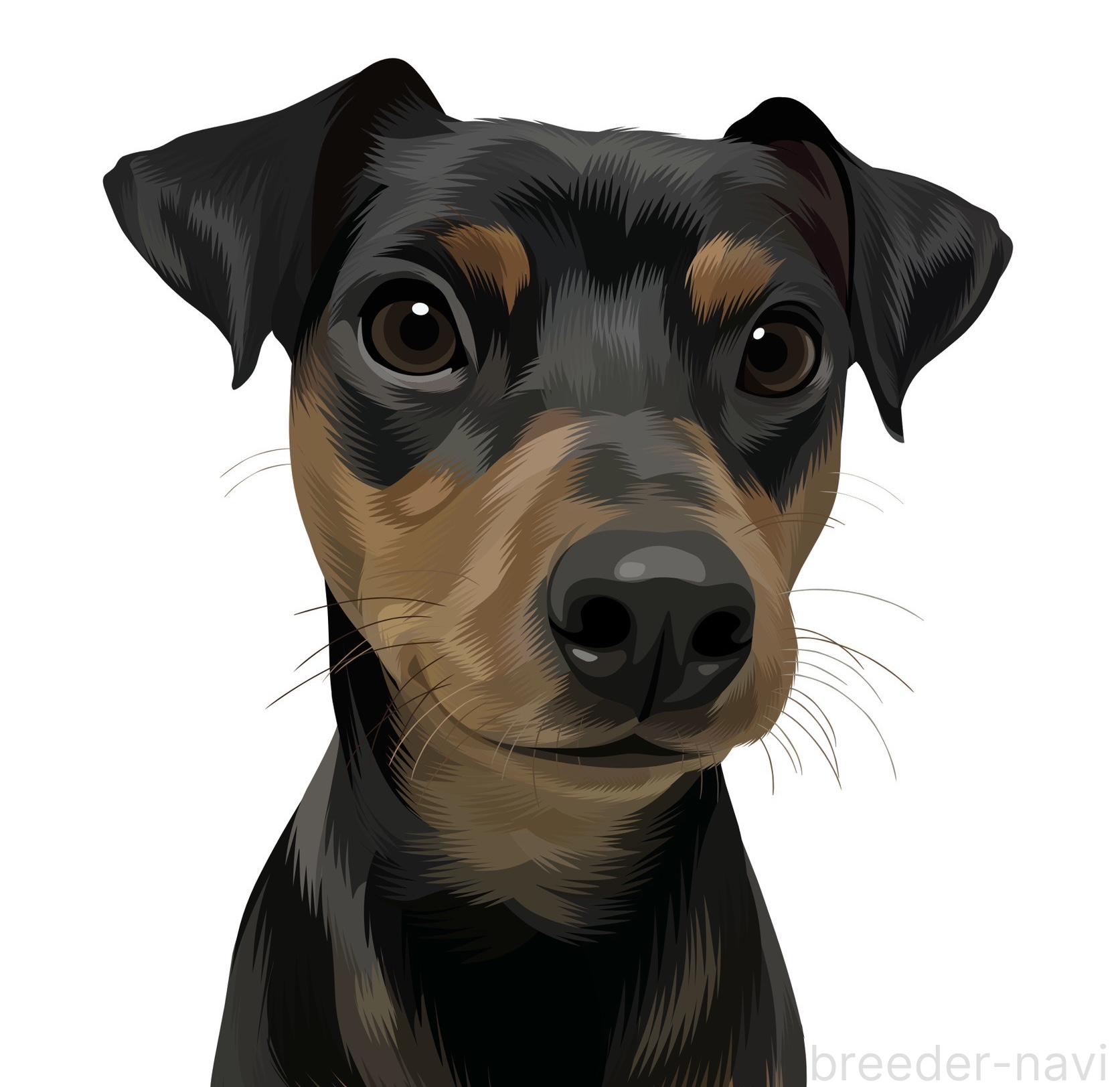 白須クリスティーナ舞夢