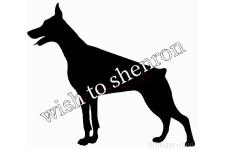 杉山志宝ブリーダー