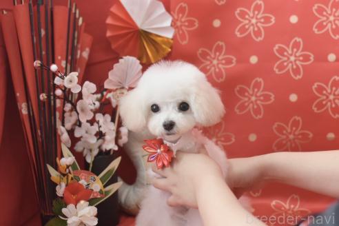 菅宏樹ブリーダーの詳細