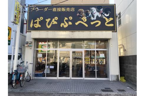 亀田泰菜ブリーダーの詳細