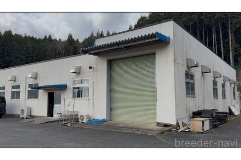 ヒョウイブリーダーの詳細