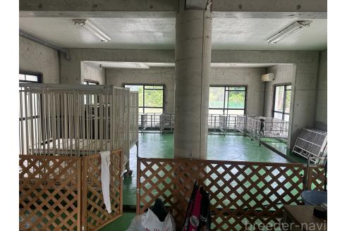 福田強ブリーダーの詳細