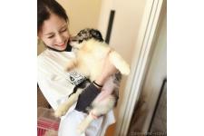 古賀伊織ブリーダー