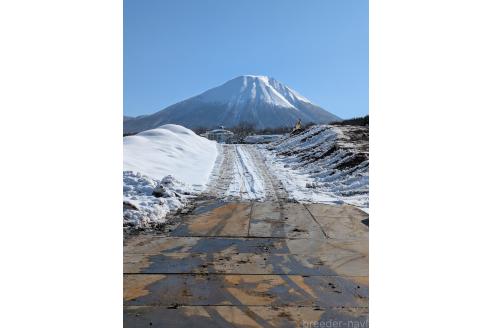 坪倉和正ブリーダーの詳細の1枚目