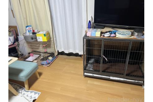 畑瀬弘和ブリーダーの詳細