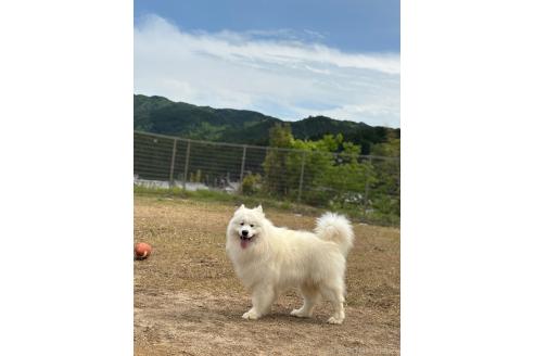時松宏樹ブリーダーの詳細の1枚目