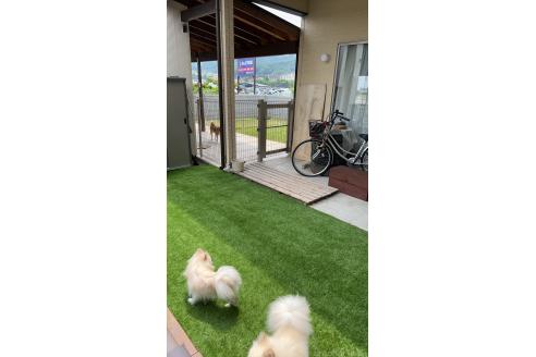 新島紀子ブリーダーの詳細