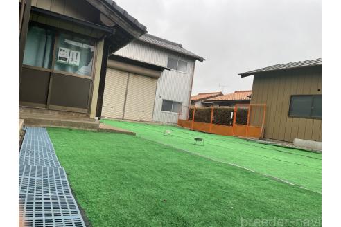 茅野梨香ブリーダーの詳細