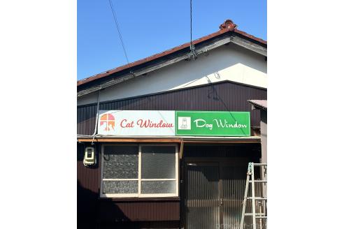 前田夕美子ブリーダーの詳細の1枚目