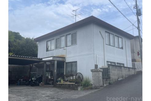 中島浩文ブリーダーの詳細