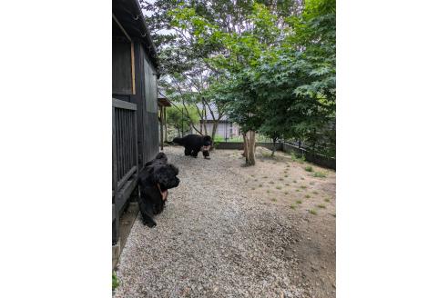 邑本宜嗣ブリーダーの詳細