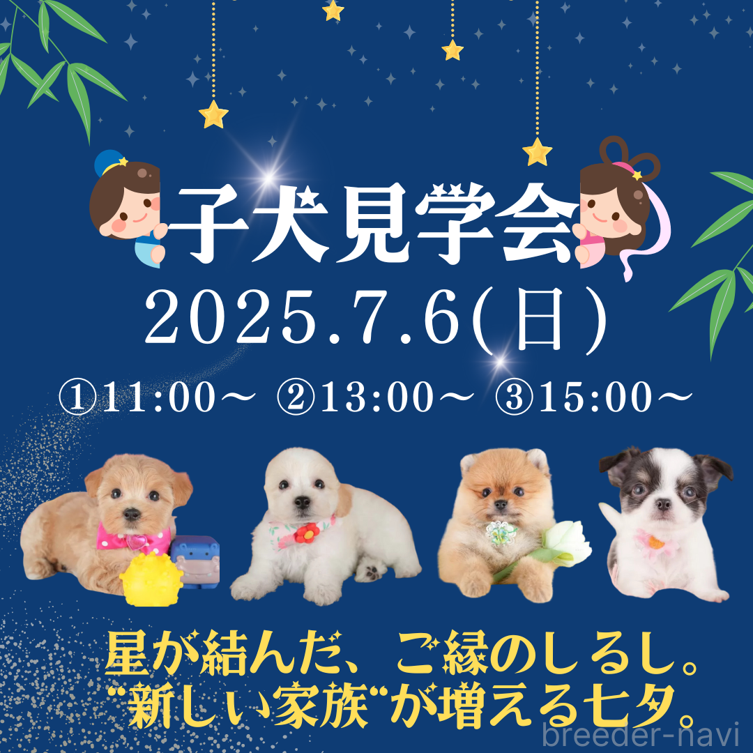 生田碧ブリーダー