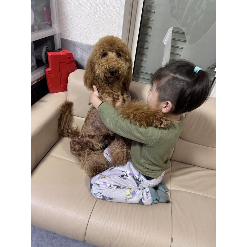 松本瑞希ブリーダーの詳細