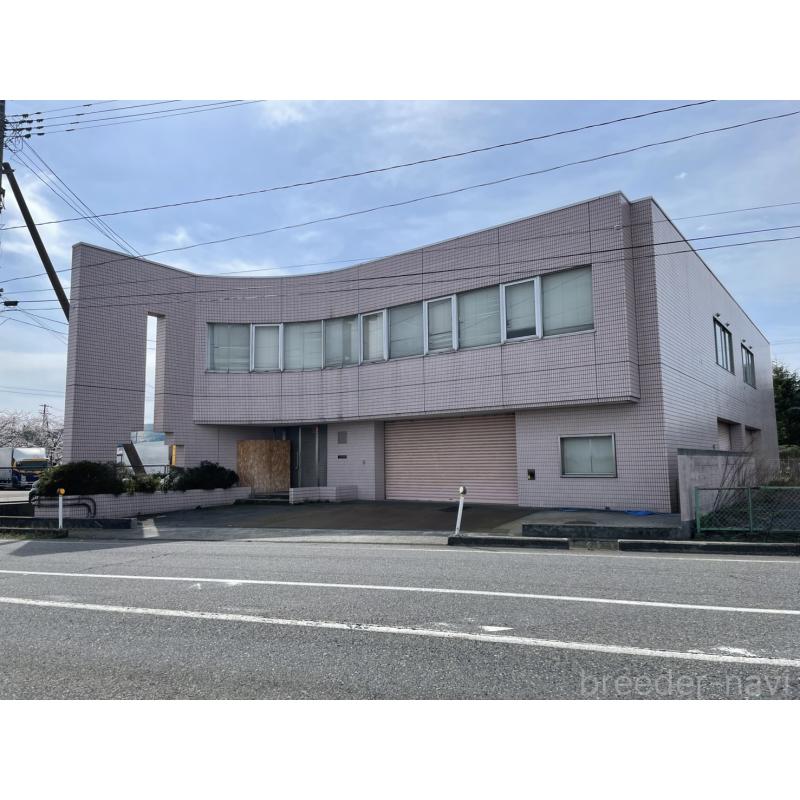 株式会社ペトリスブリーダーの詳細