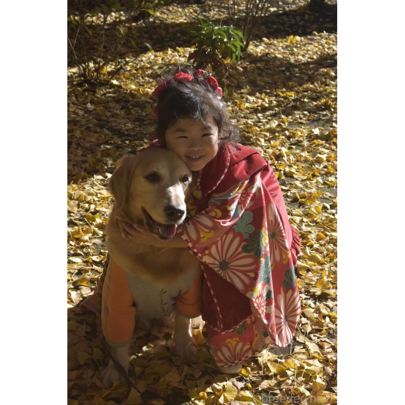 廣木誠ブリーダーの詳細の1枚目