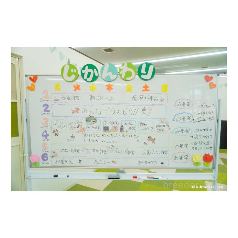 峯岸歩夢ブリーダーの詳細