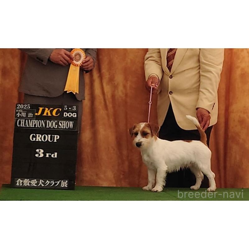 古城裕治ブリーダーの詳細