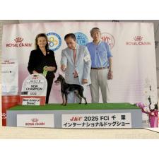 吉原正春ブリーダー