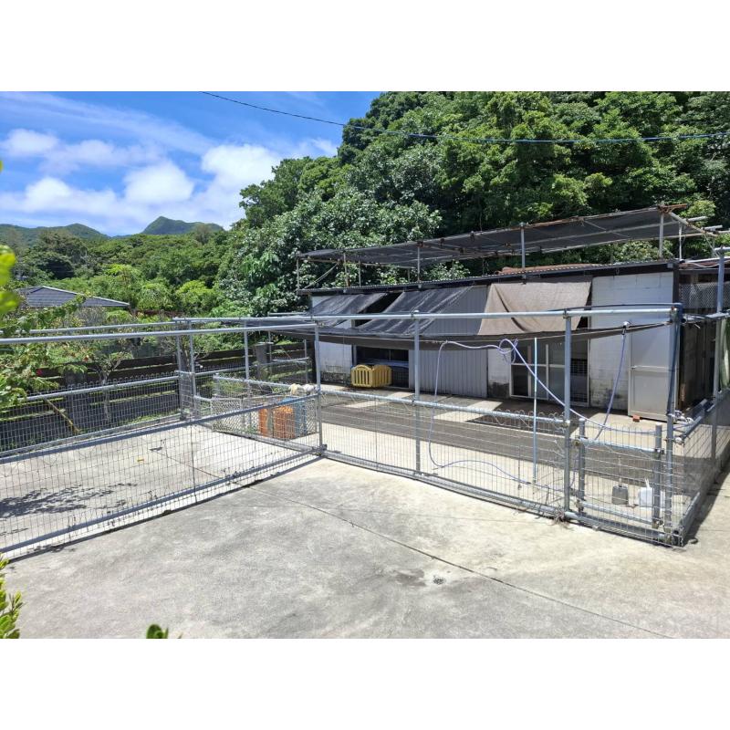 屋嘉比スサナブリーダーの詳細