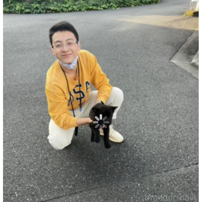 AIJIAXUブリーダーの詳細の1枚目
