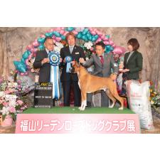 権田和則ブリーダー