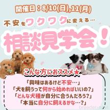 杉山晴菜ブリーダー