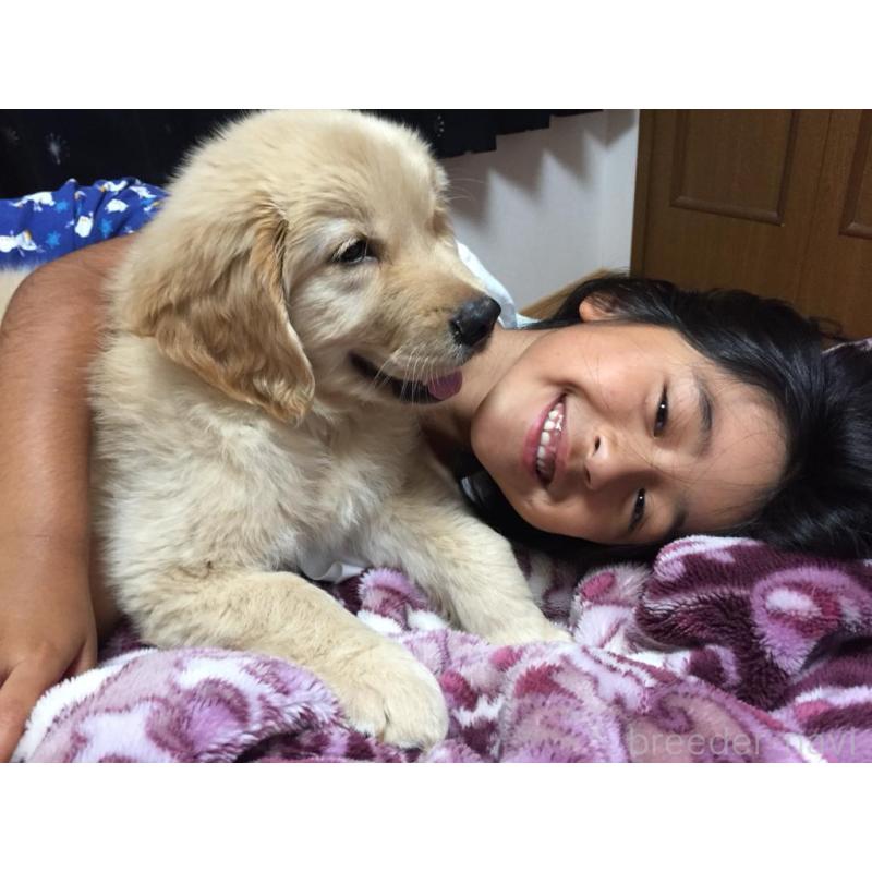 宮沢エミリーブリーダーの詳細の1枚目