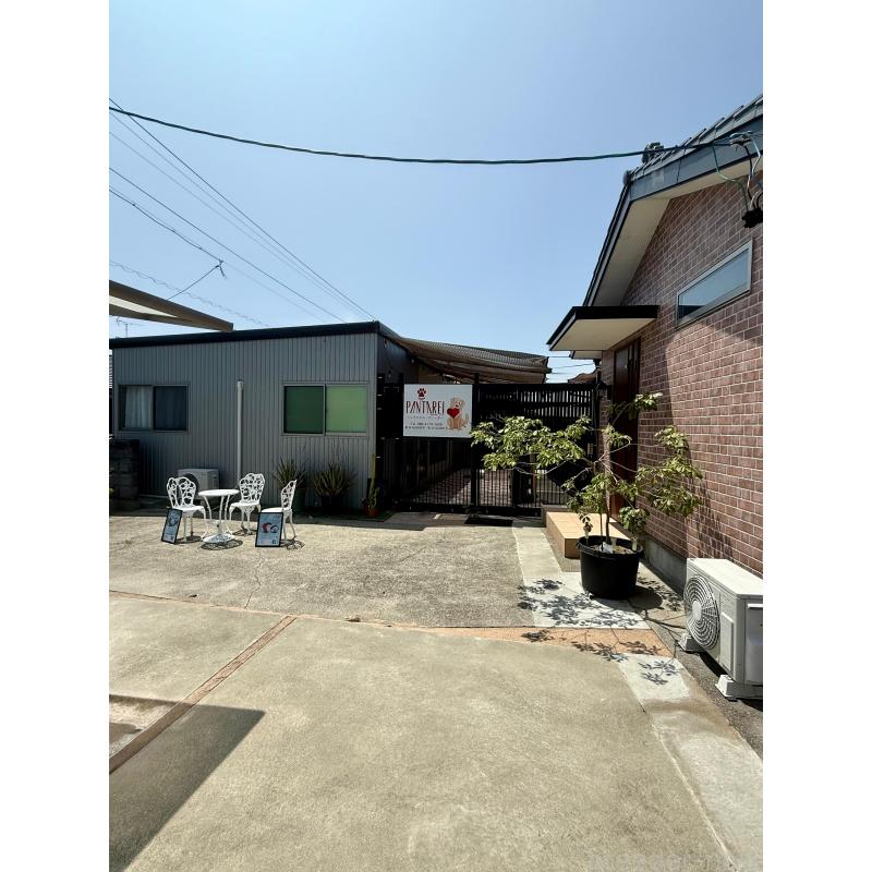 宮沢エミリーブリーダーの詳細