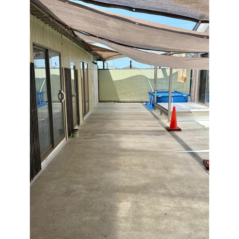 宮沢エミリーブリーダーの詳細