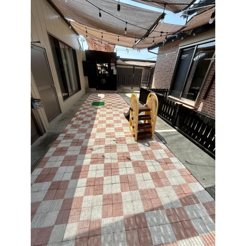 宮沢エミリーブリーダーの詳細