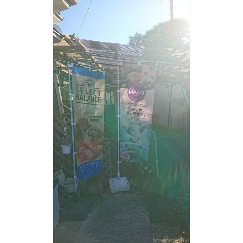 本田浩一ブリーダーの詳細