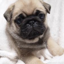 オンライン見学