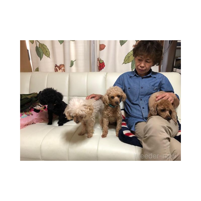 渡部美也子ブリーダーの詳細