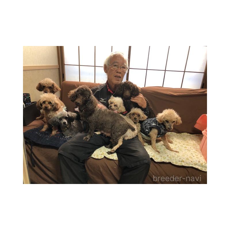 渡部美也子ブリーダーの詳細