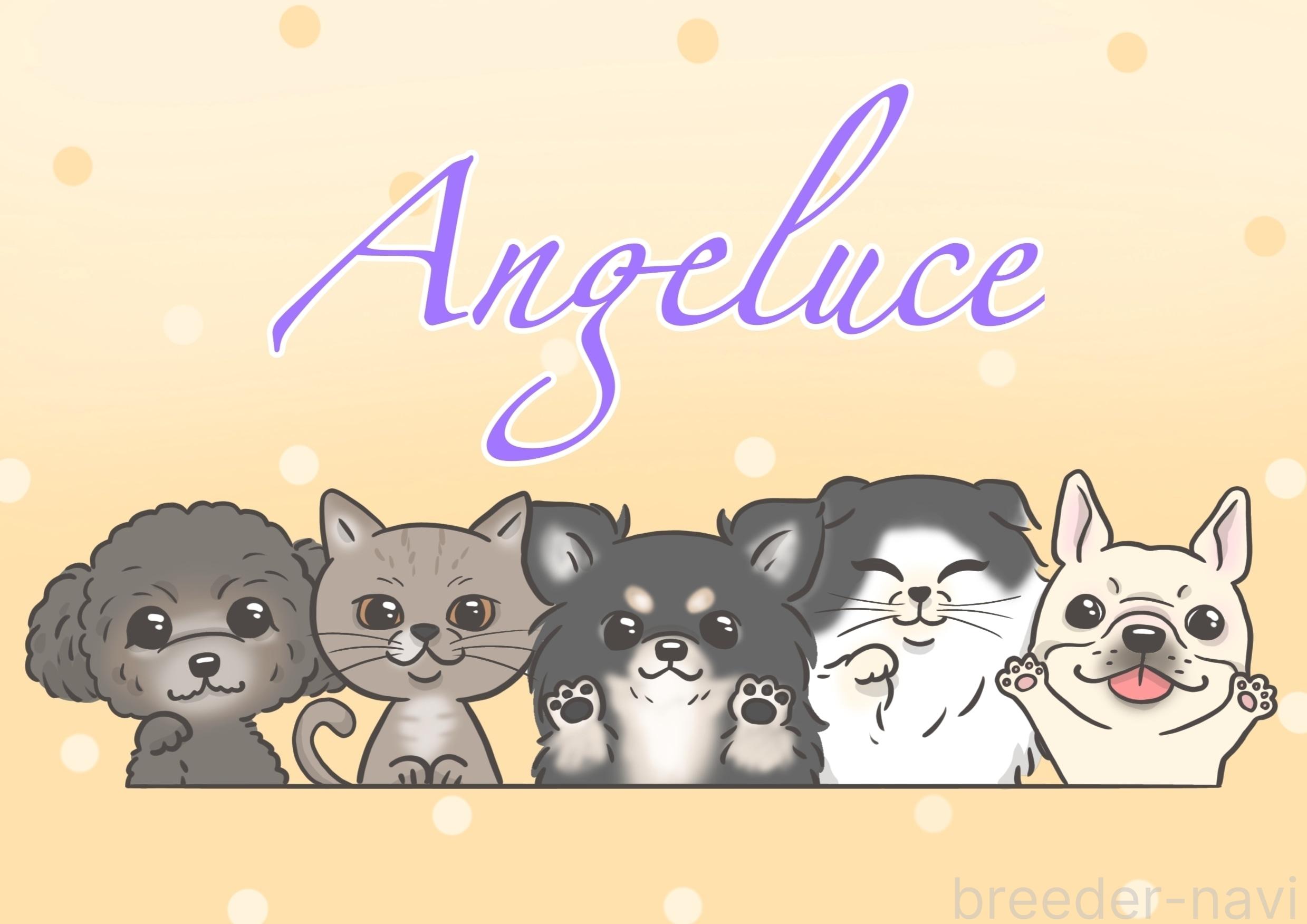 中川ブリーダー