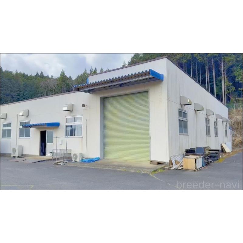 ヒョウイブリーダーの詳細